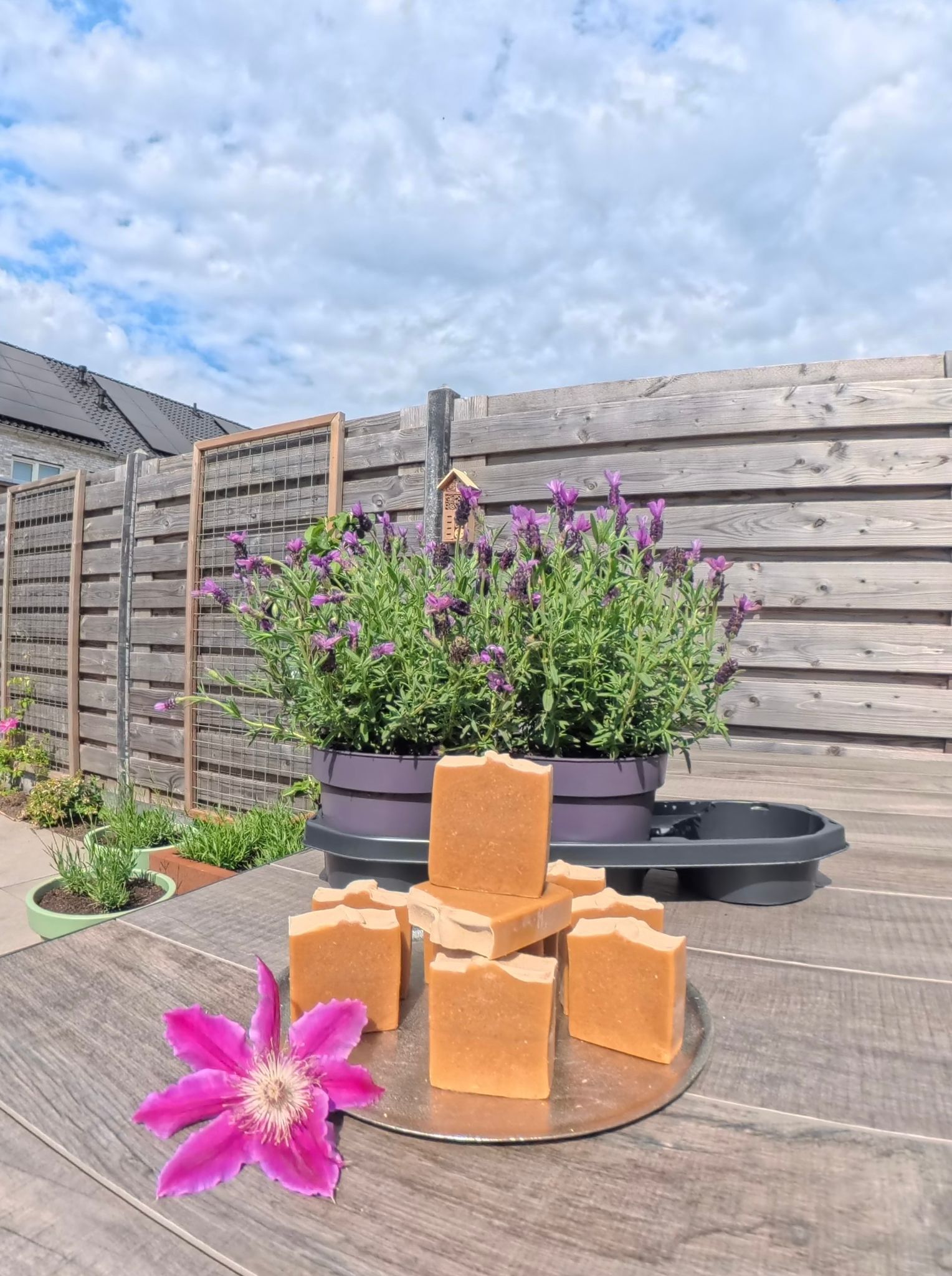 BUNDLE & SAVE: Oatmeal Turmeric Soap (Unscented)
