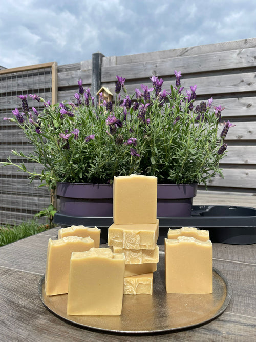 BUNDLES & SAVE: Milky Nettle Soap (Unscented)